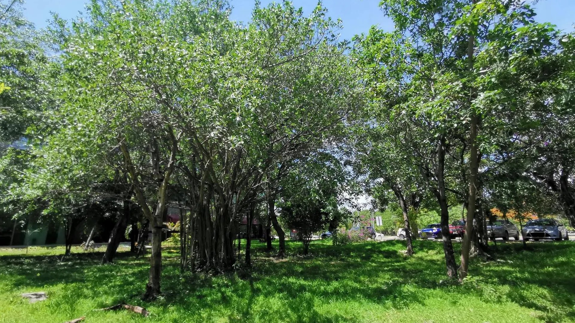 Beautiful & Cozy Near Beach Apartment Pool & Kingsize Bed Cancun
